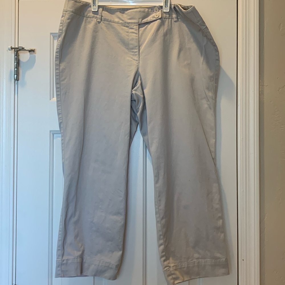 Women’s Loft Marisa style pants